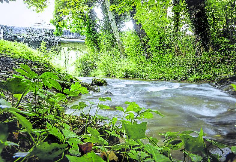 El Inglares aporta agua para el regadío de Rioja Alavesa.