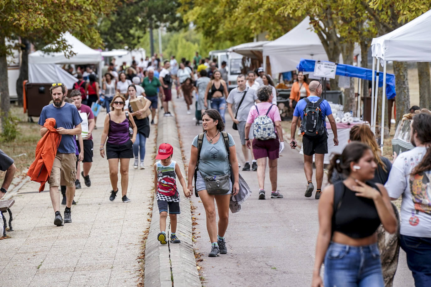 Fotos: Vuelve la romería de Olárizu