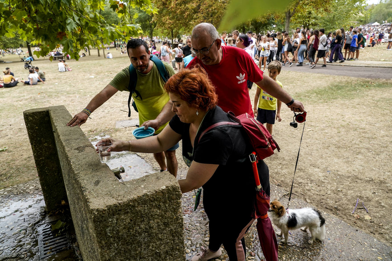 Fotos: Vuelve la romería de Olárizu