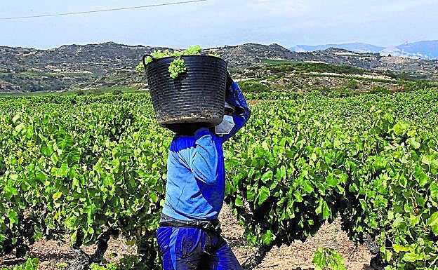 González cree que la DOC Rioja «no tendrá más remedio» que diferenciar los vinos