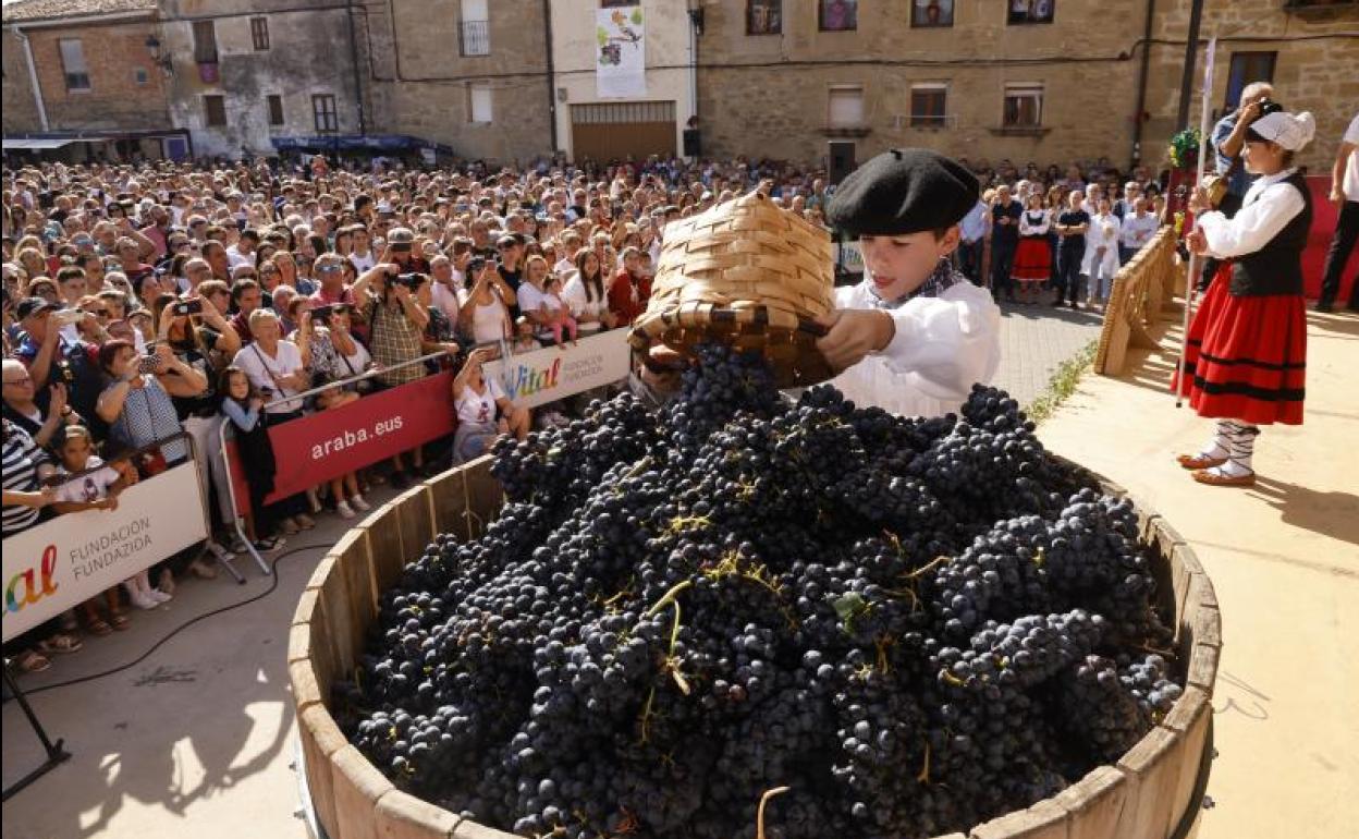 Álava reclama la «diferenciación» de sus vinos en la fiesta de la vendimia