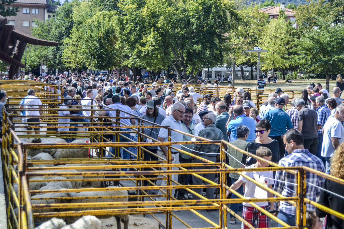 Fotos: Amurrio celebra el Artzain Eguna