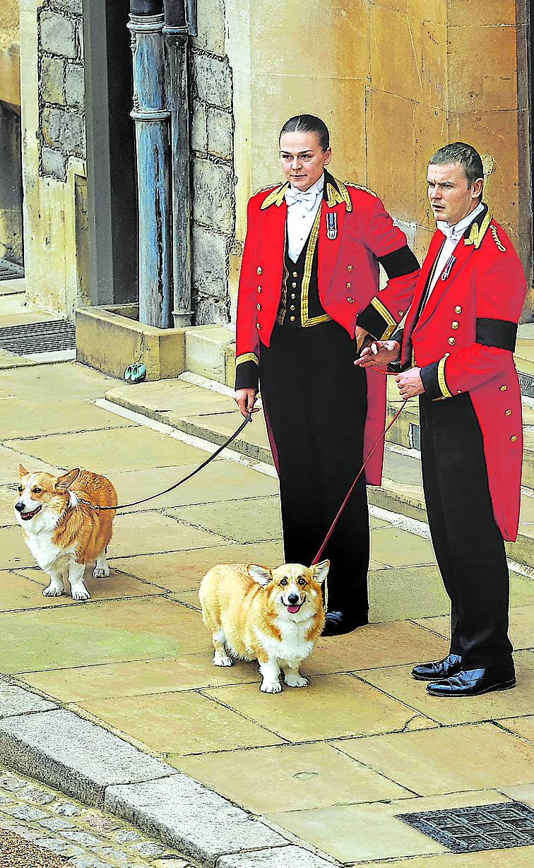 Dos de los perros de Isabel II fueron testigos de la despedida. 