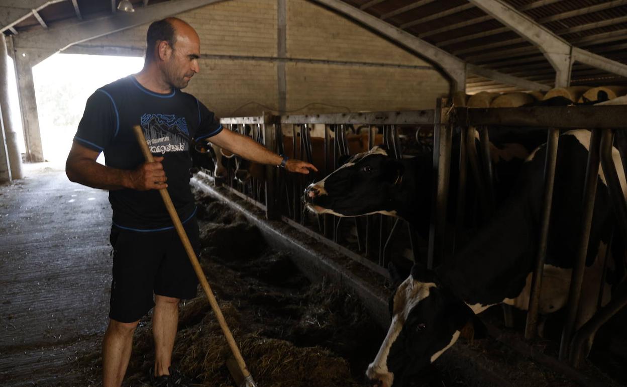 Unai Campo, ganadero del Valle de Ayala, es uno de los que está sufriendo la sequía.