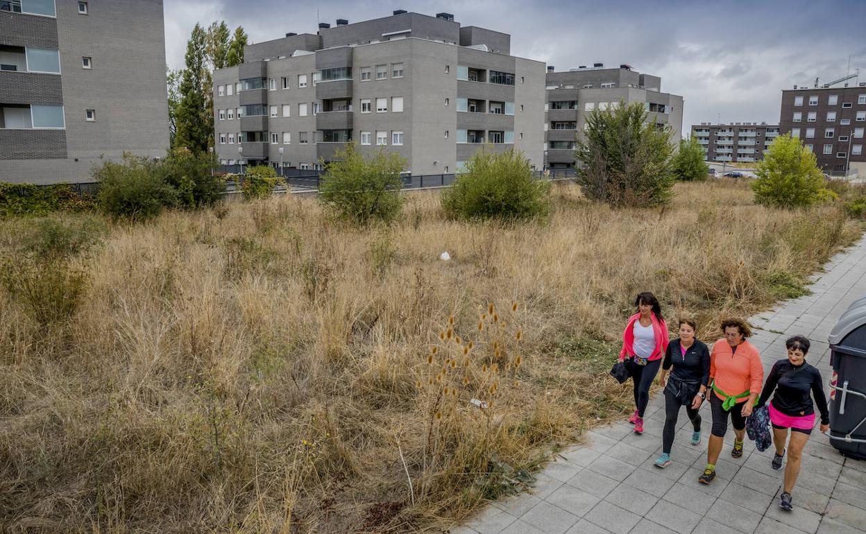 Imagen de una de las parcelas recién adjudicadas en Aretxabaleta-Gardelegi.