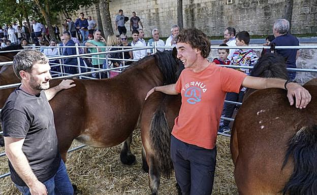 Galería. Las fotos de la feria. 