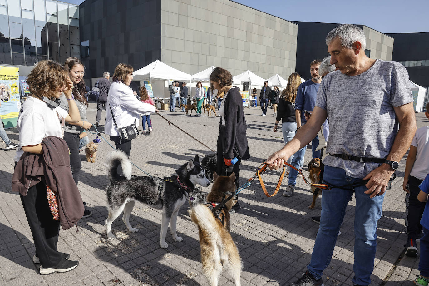 Fotos: Vitoria hace bueno el día de perros