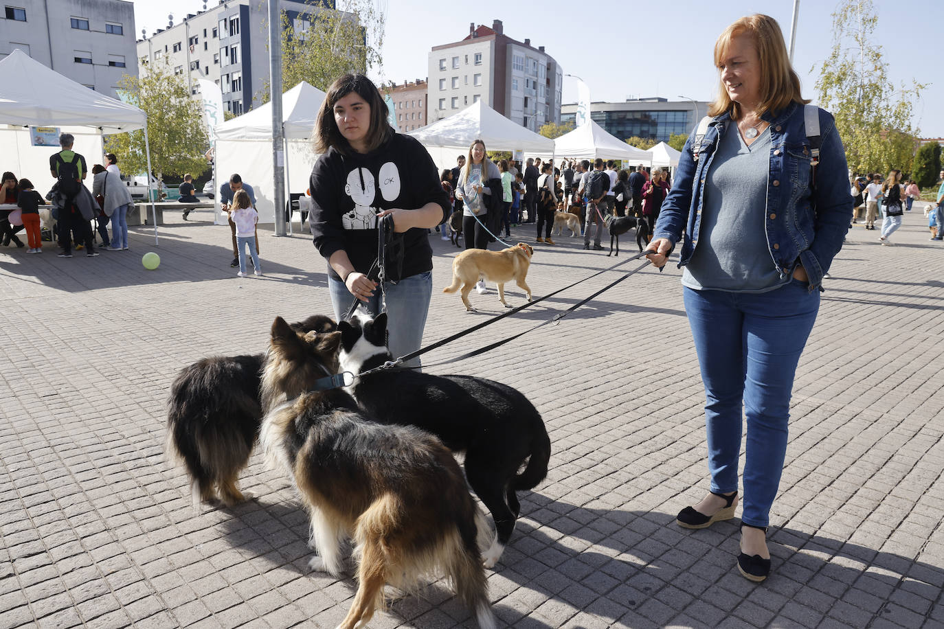 Fotos: Vitoria hace bueno el día de perros