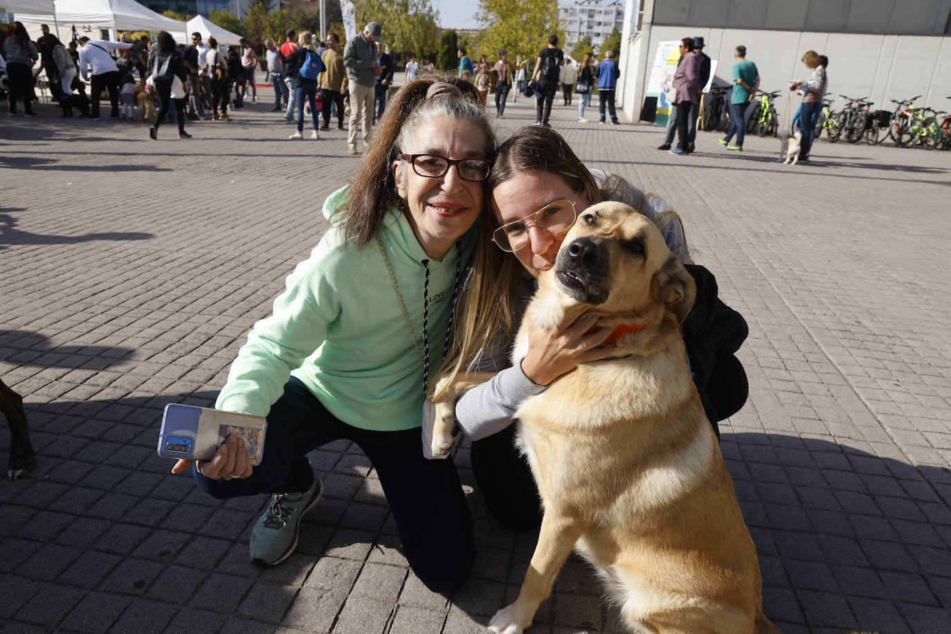 Fotos: Vitoria hace bueno el día de perros