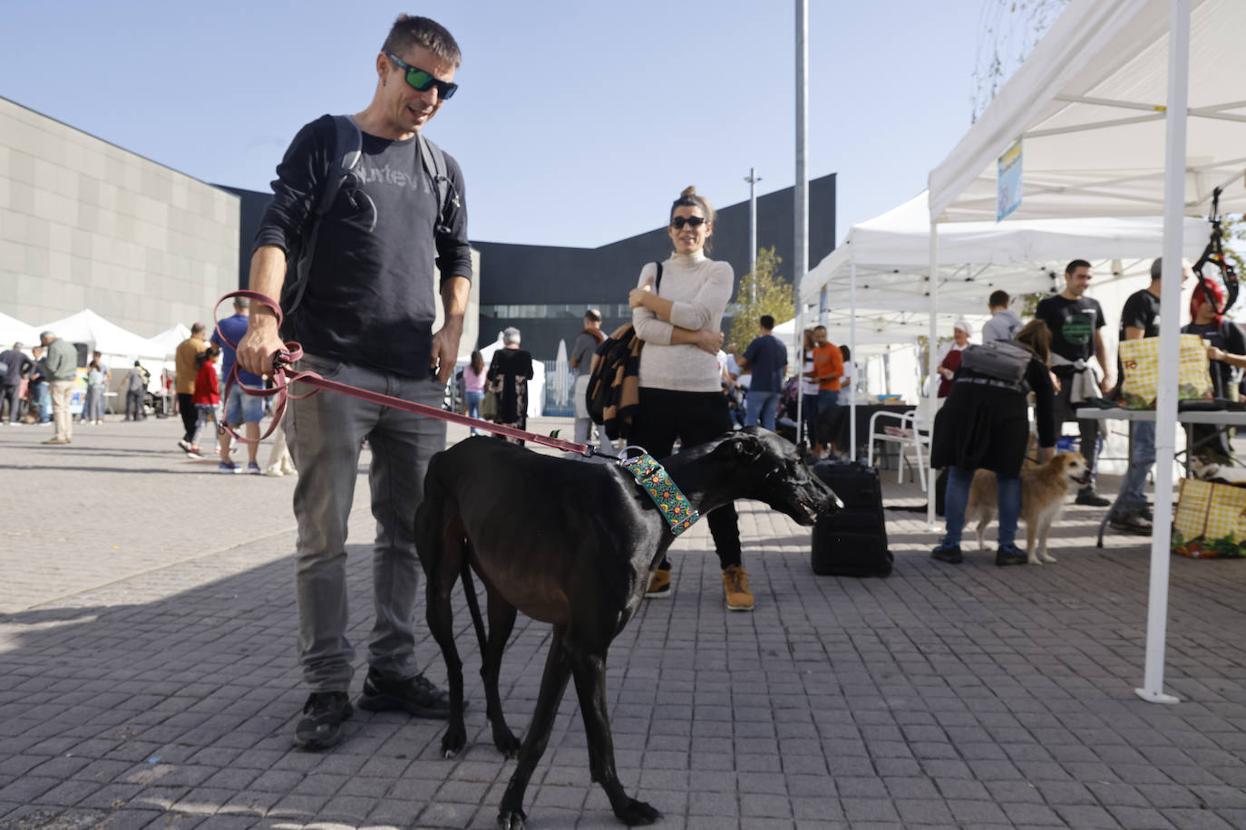 Fotos: Vitoria hace bueno el día de perros