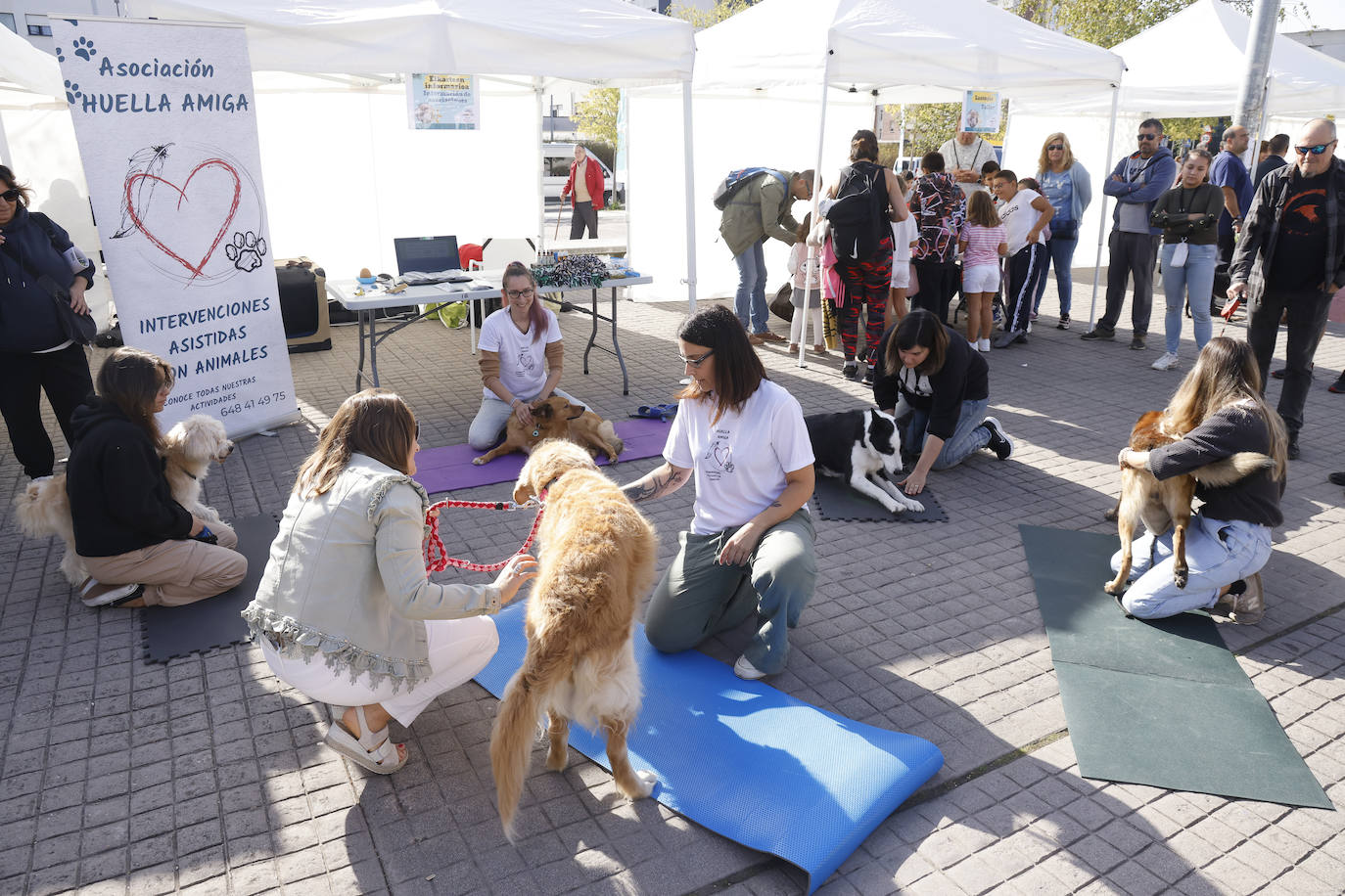 Fotos: Vitoria hace bueno el día de perros