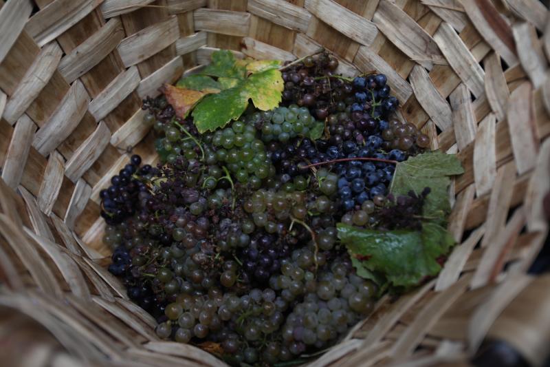 Fotos: Bilbao celebra el Día del Txikitero