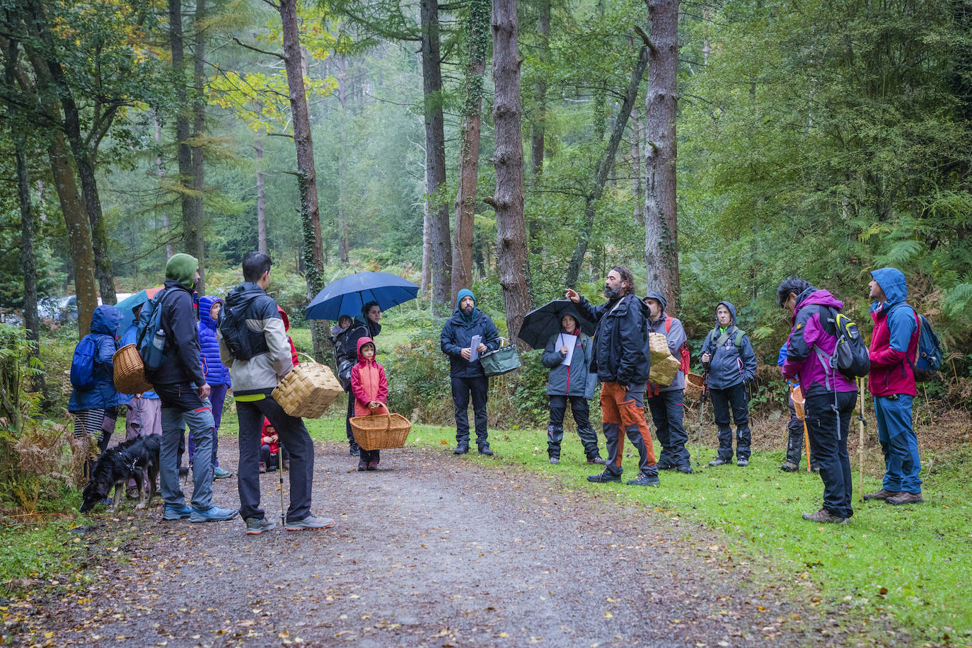 Fotos: Arranca la temporada de setas