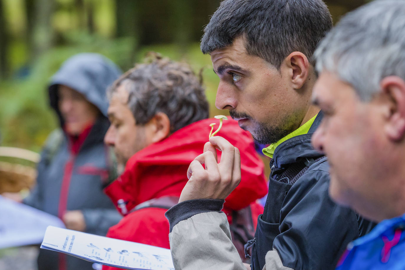 Fotos: Arranca la temporada de setas