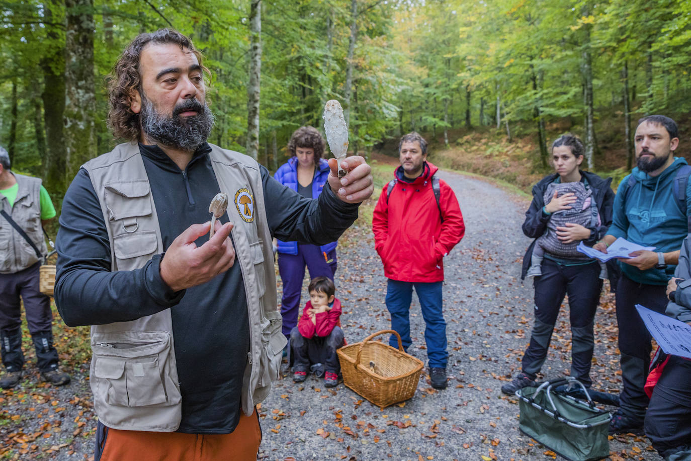 Fotos: Arranca la temporada de setas