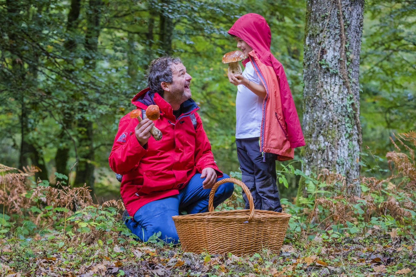 Fotos: Arranca la temporada de setas