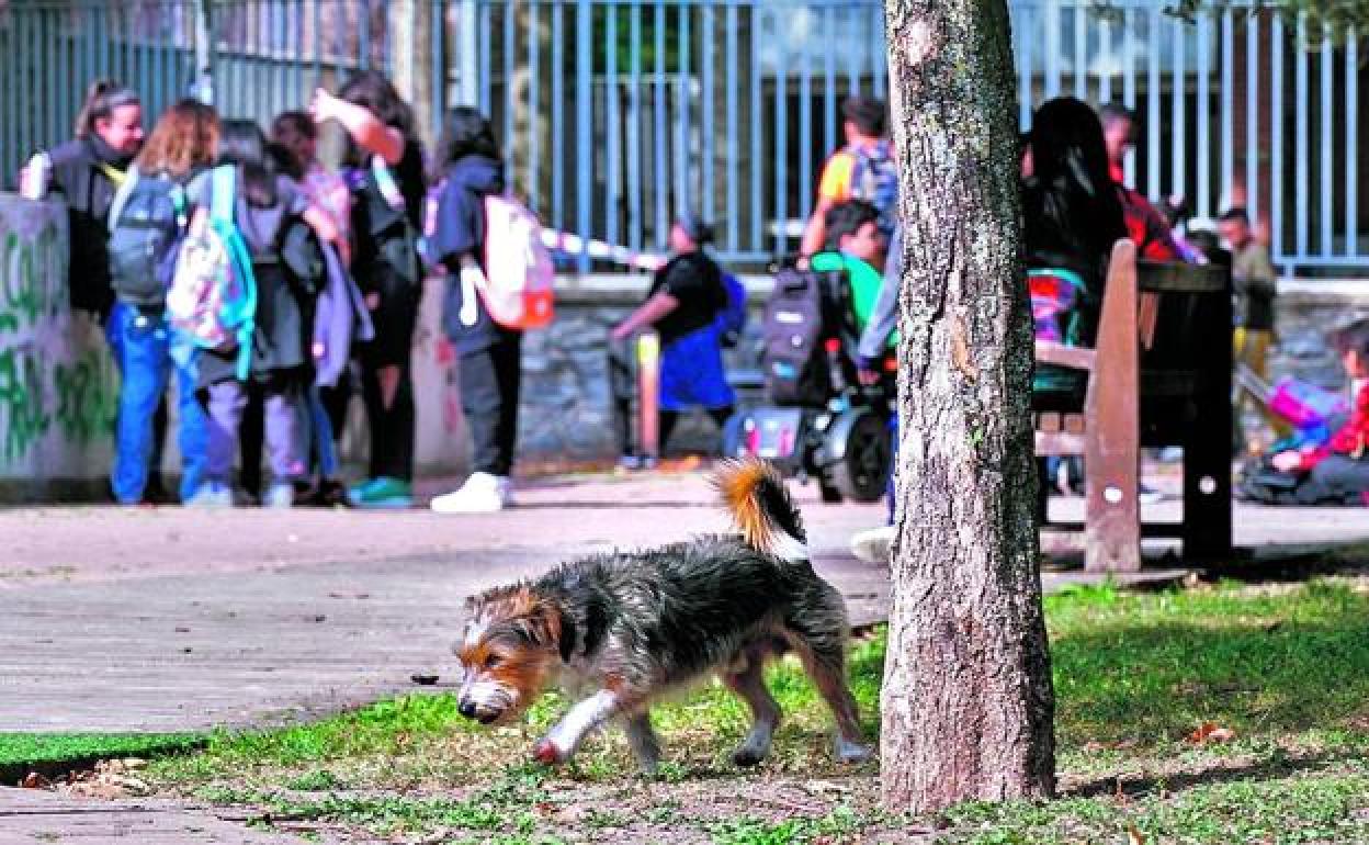 Un perro corretea por el parque de Judimendi, mientras a pocos metros los alumnos salen de clase y se disponen a jugar con sus amigos. 