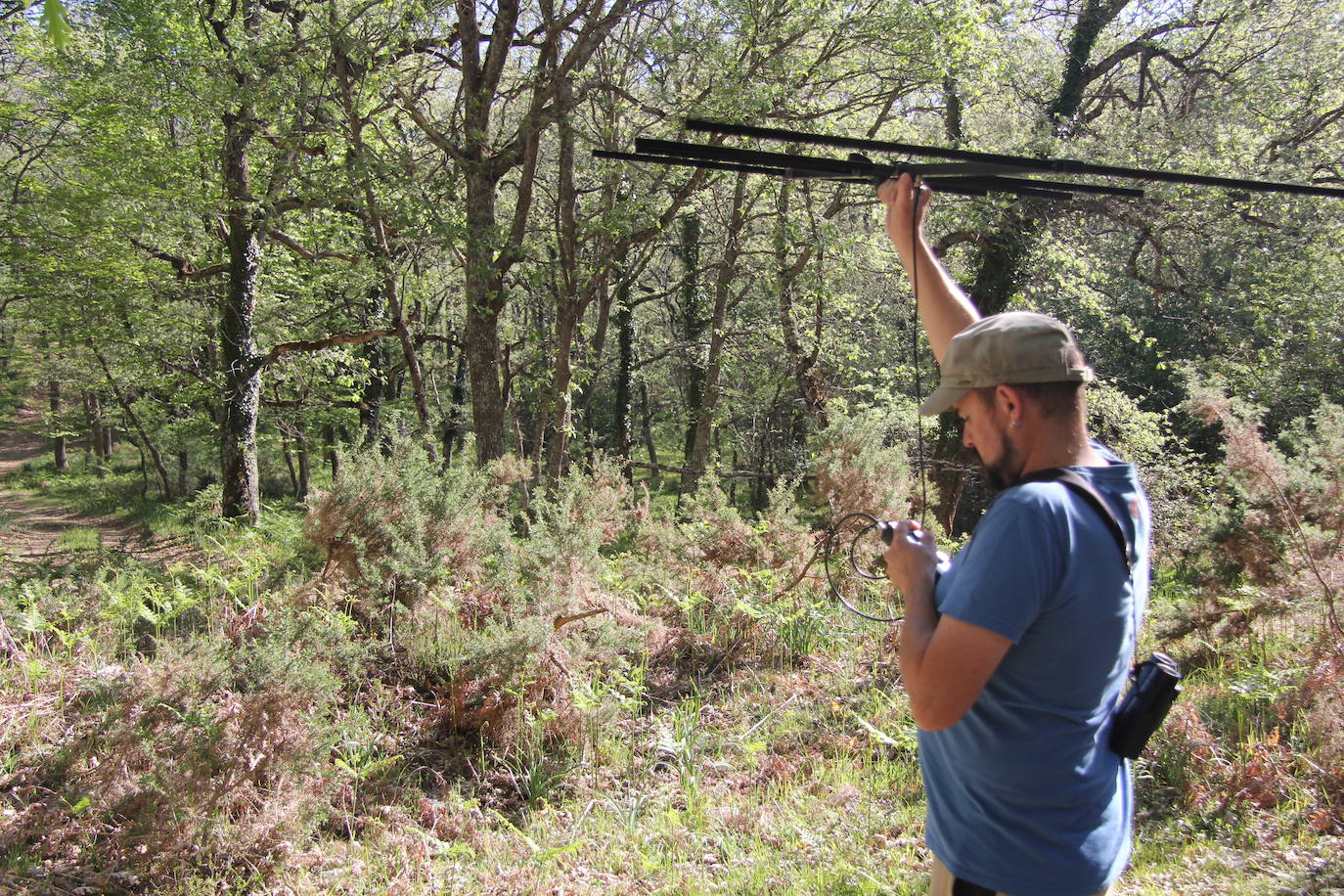 Fotos: Rapaces que vuelan con un GPS a cuestas