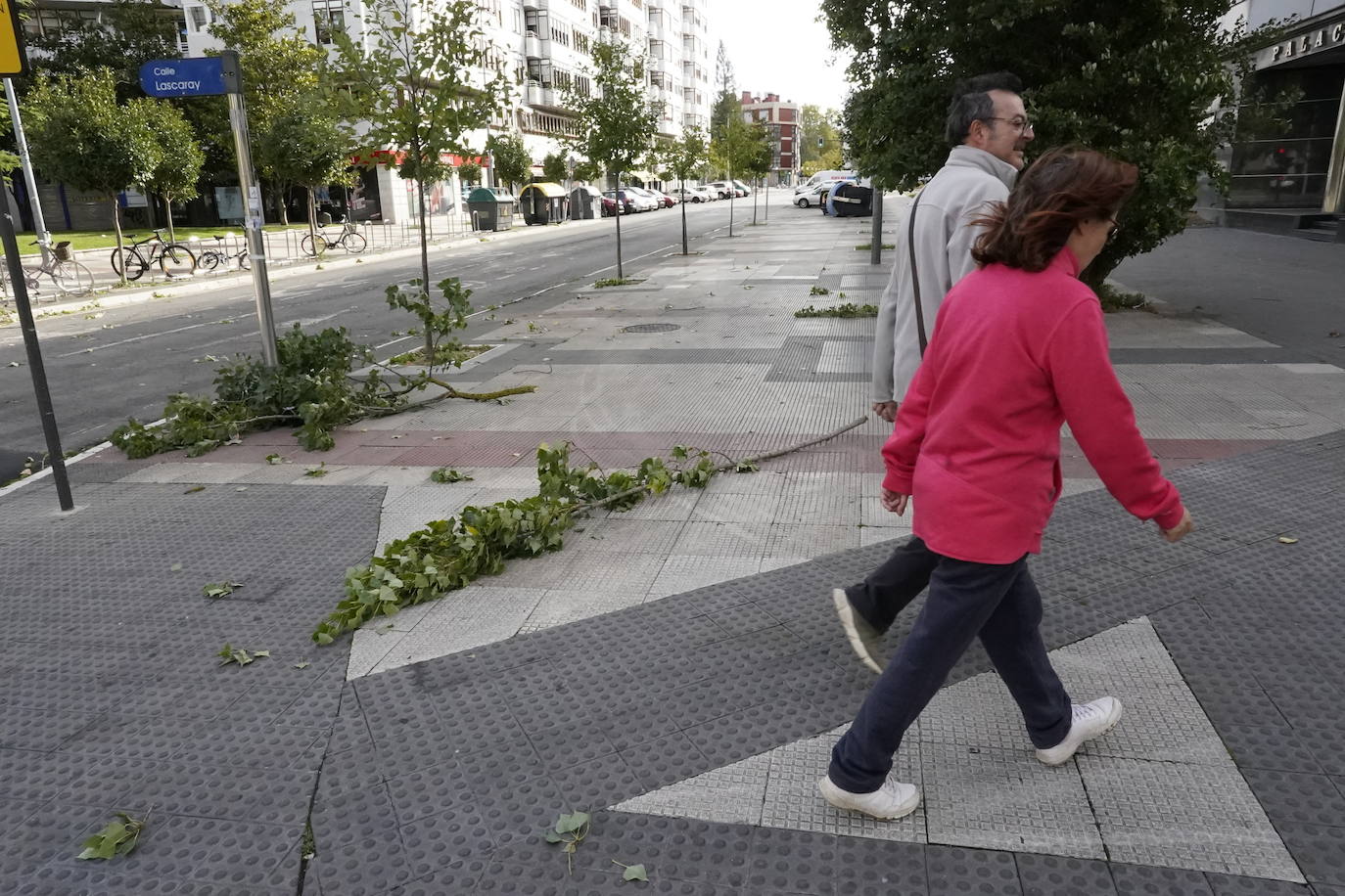 Fotos: Fuertes rachas de viento azotan Vitoria