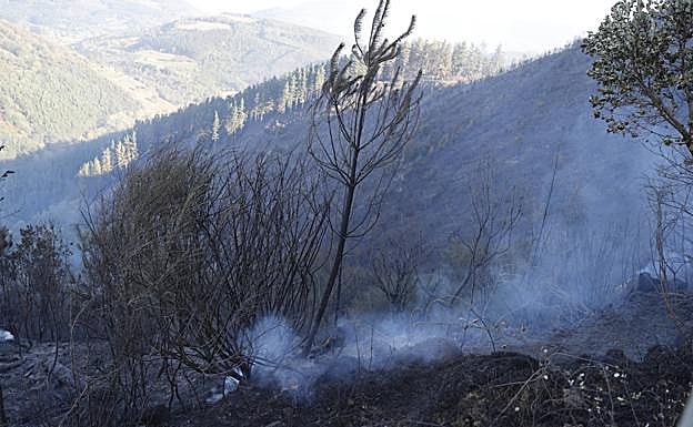 Más de 200 efectivos trabajan para sofocar el incendio en el Valle de Mena