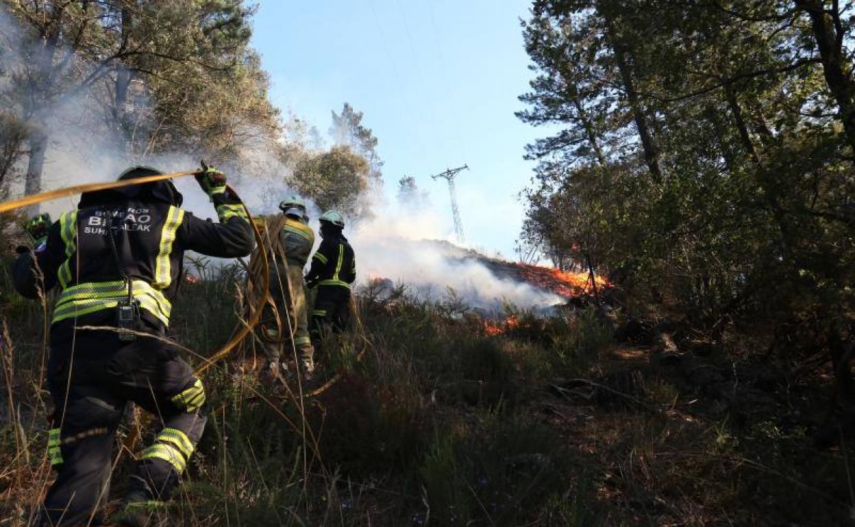 Una dotación de bomberos trata de acceder hasta un foco del incendio con una torreta de alta tensión al fondo. 