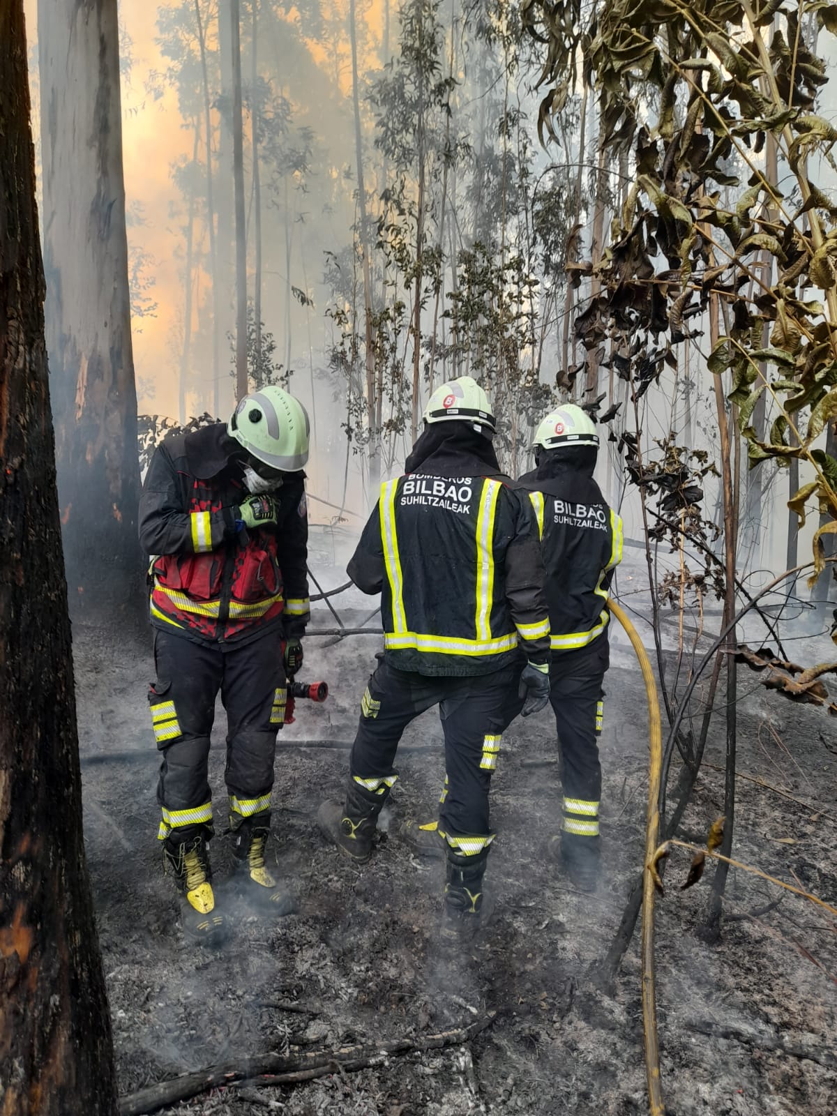 Los bomberos, trabajando sobre el terreno.