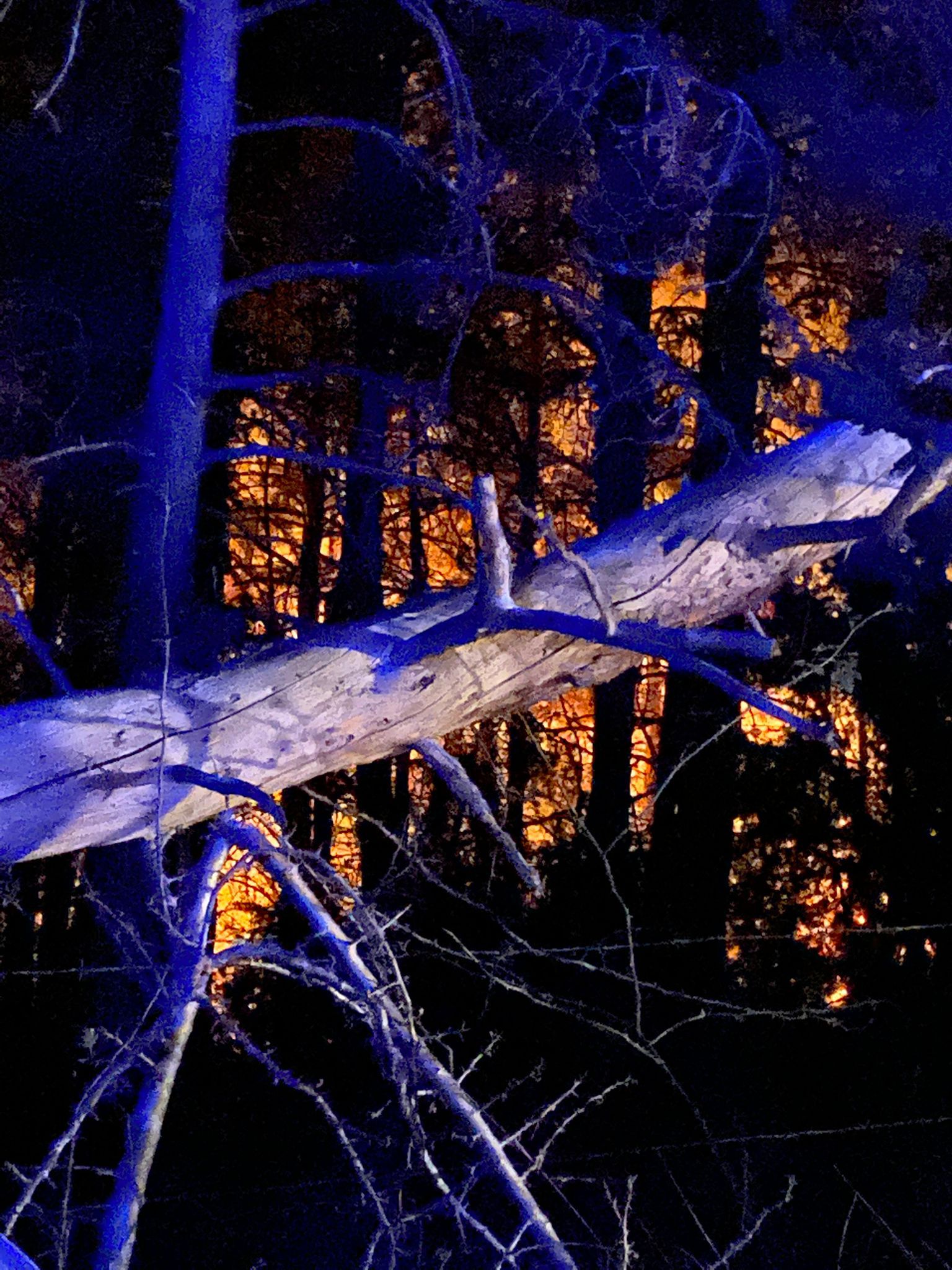 Fotos: Un incendio en Madaria afecta a las faldas de la Sierra Salvada