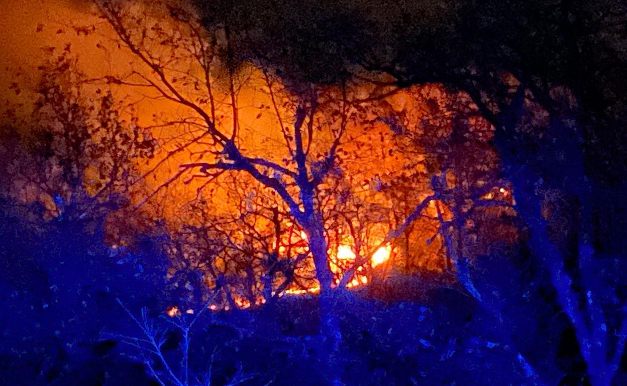 Las llamas afectaron al bosque situado en las faldas de la sierra.