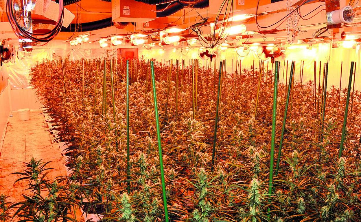 Los traficantes suelen alquilar naves industriales en desuso sin desvelar su negocio real al propietario. 