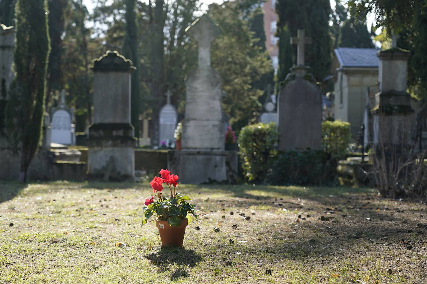 Fotos: Miles de vitorianos visitan a sus seres queridos en los cementerios de El Salvador y Santa Isabel