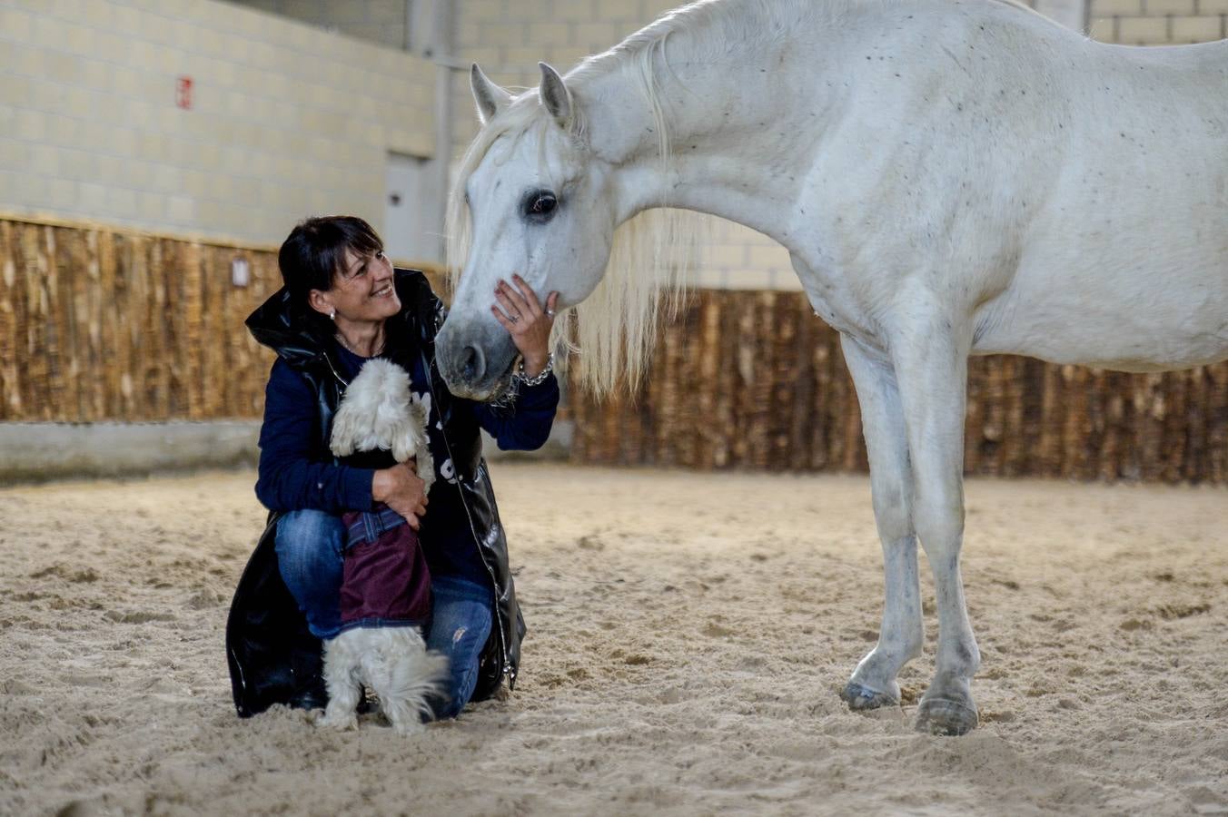 Fotos: Un &#039;spa&#039; para caballos en Euskadi