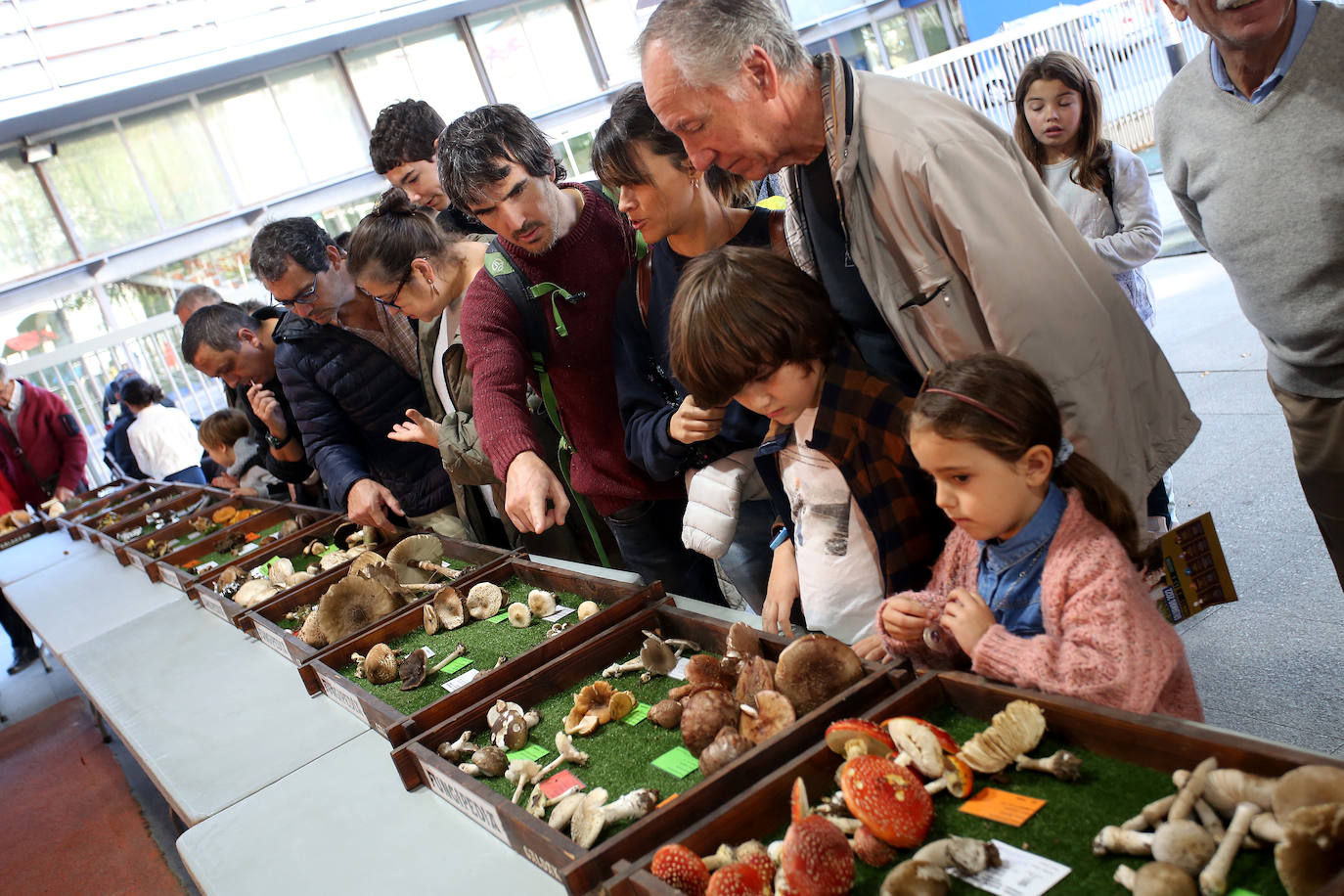 Fotos: Feria micológica en Galdakao