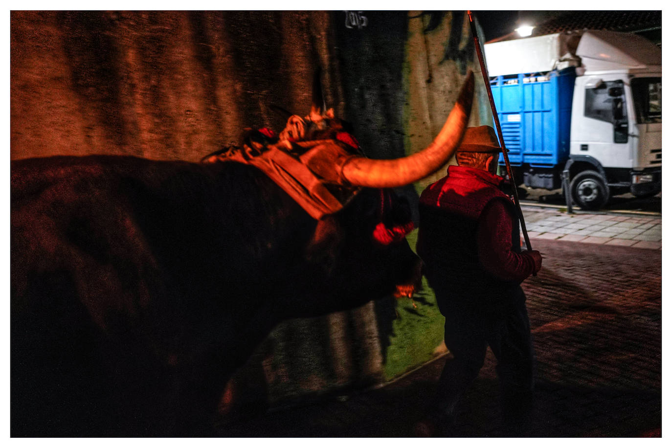 Fotos: Arrastre de bueyes en Mallabia