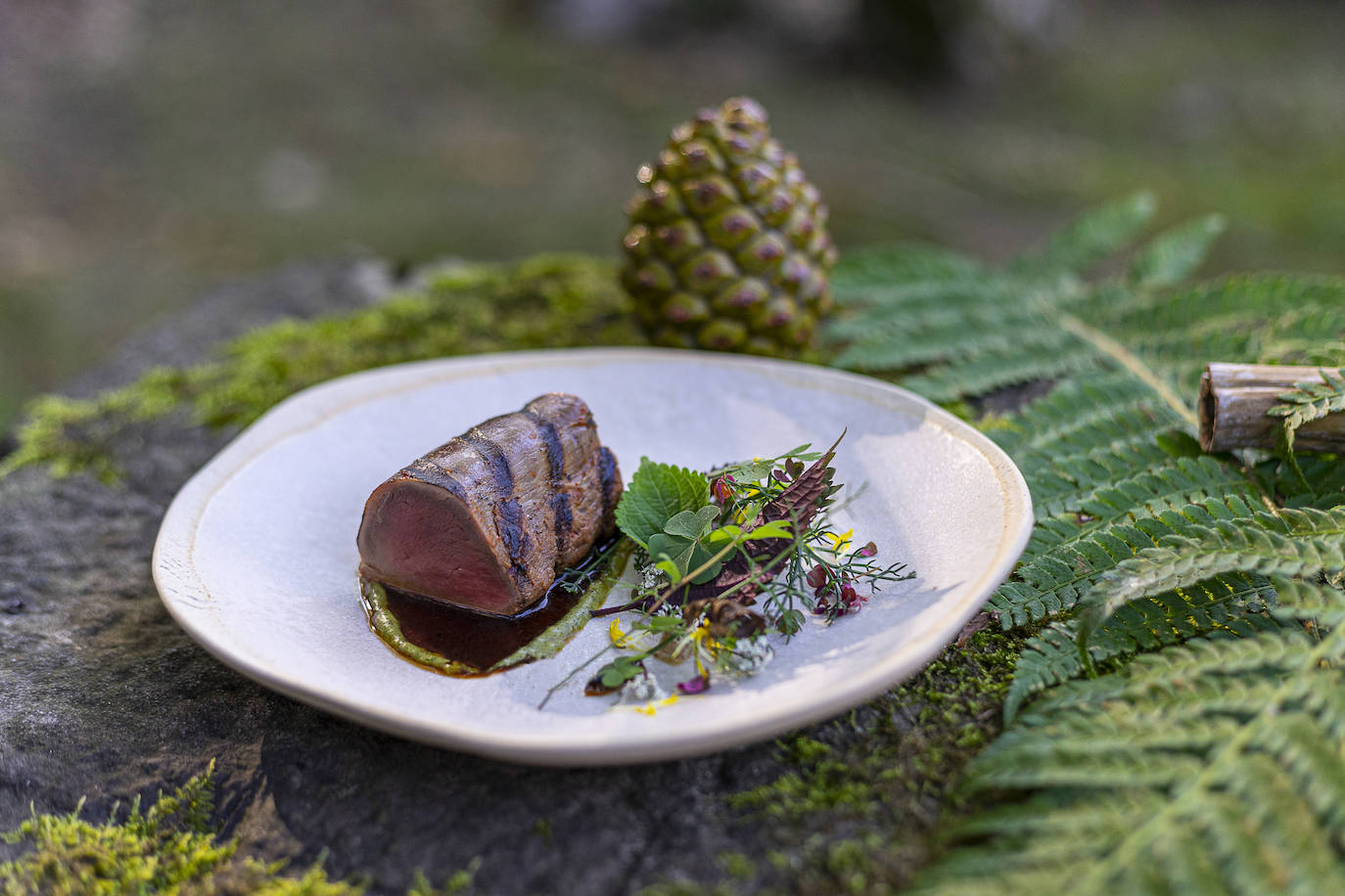 Jabalí, horchata de bellota y pesto de silvestres.
