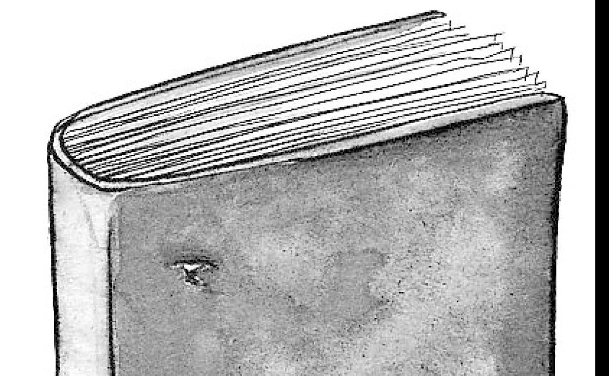 Historiadores y divulgadores