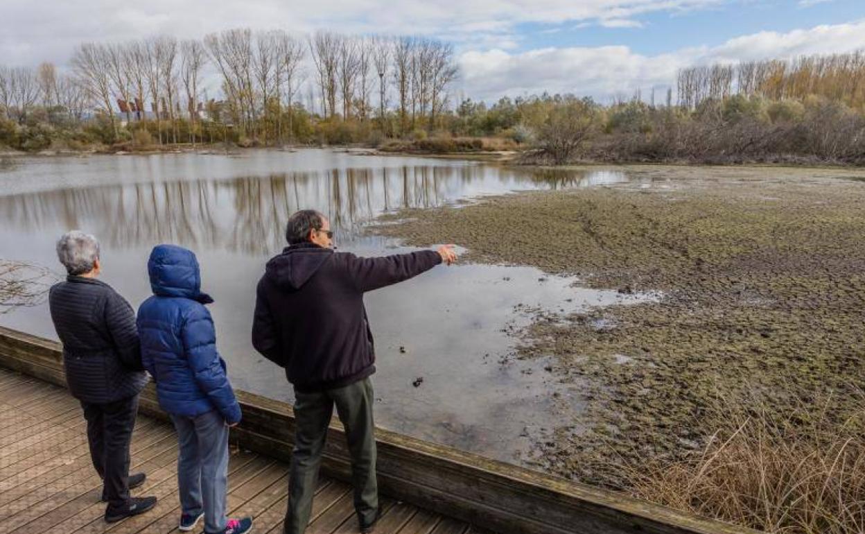 Debido a la gran sequía durante el resto del año todavía hay lagunas secas en Salburua. 