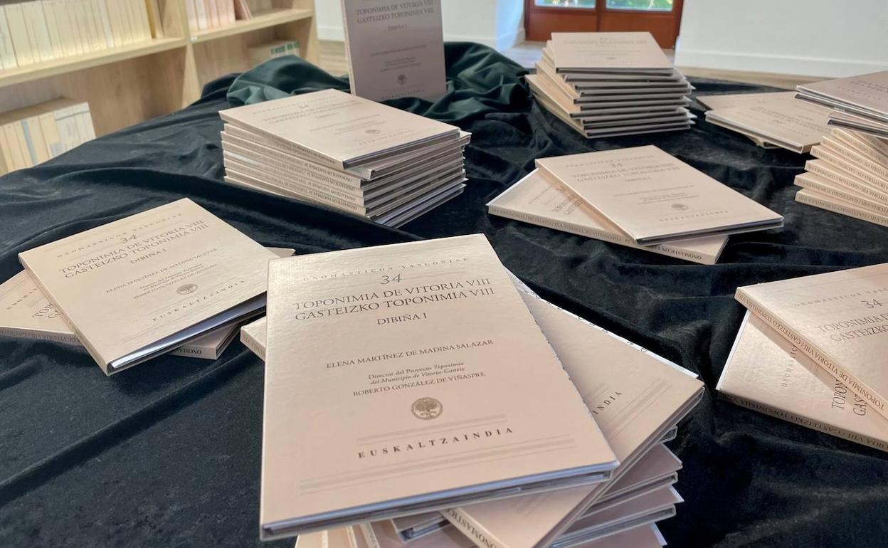 La octava entrega de 'Toponimia de Vitoria'.
