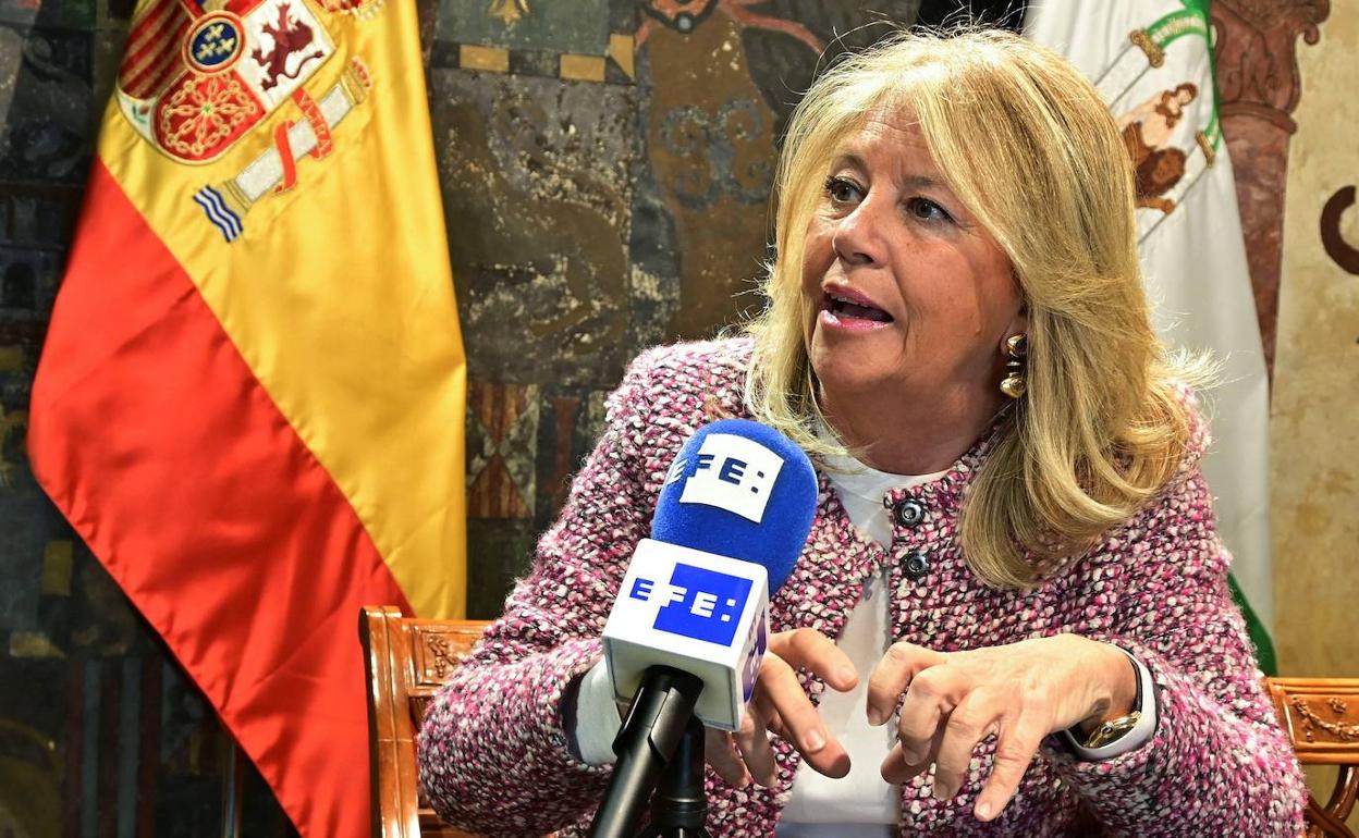 El PSOE solicita que el Senado investigue el patrimonio de la alcaldesa ...