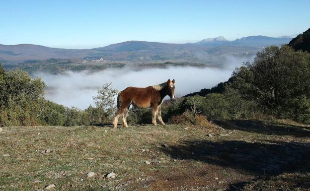 Collado del castillo de Zaitegi.