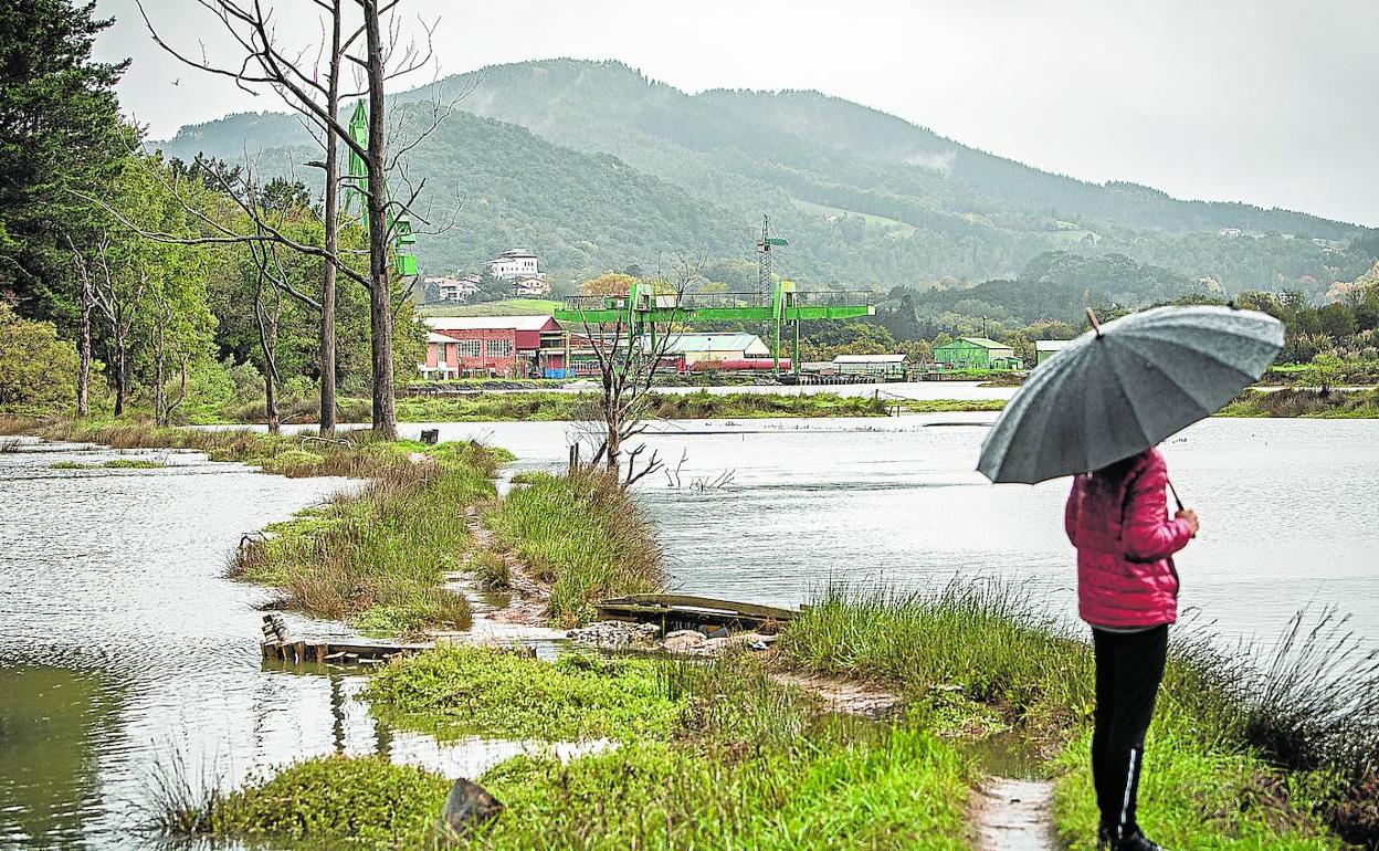 La zona de servidumbre de la marisma en los astilleros de Murueta, al fondo, se rebajará para poder encajar un edificio del futuro Guggenheim de Urdaibai. 