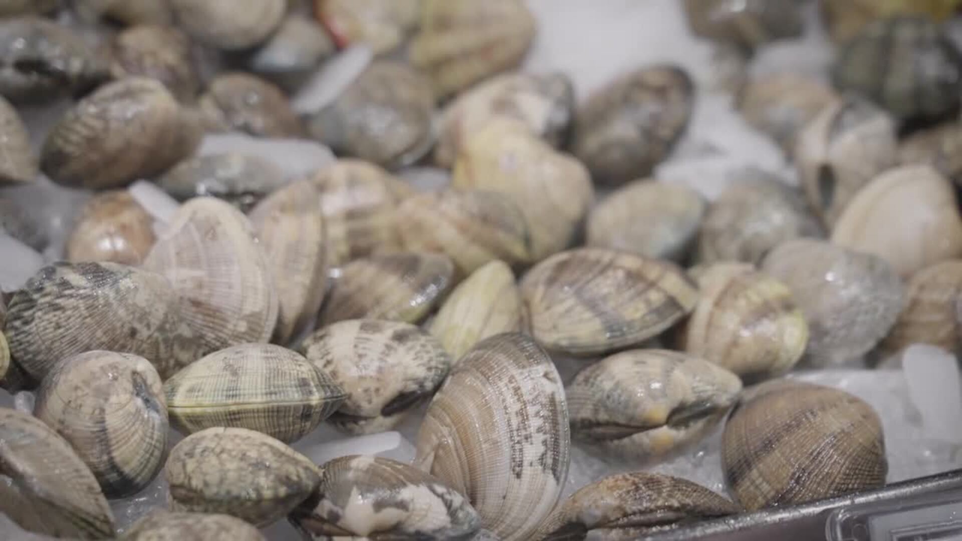 ¿Qué compran los vascos para estas navidades?