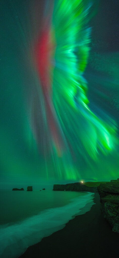 “Nordic Quetzal” – En Dyrhólaey, Islandia.