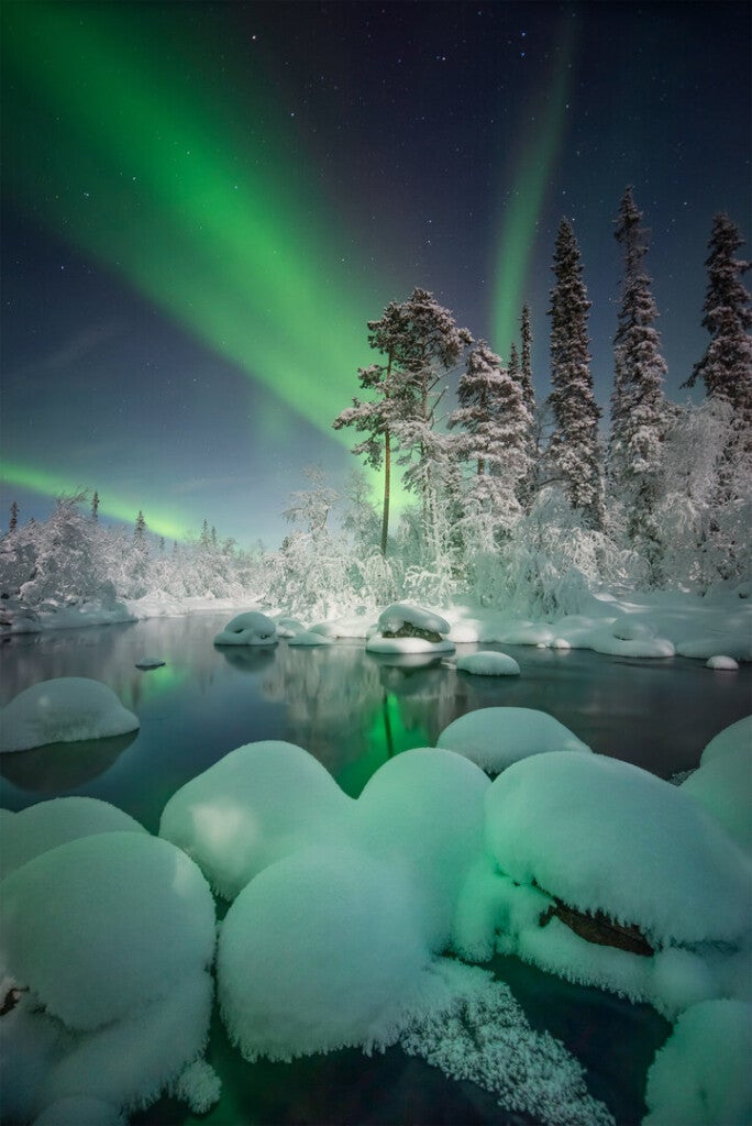 “Magical Forest” – En Murmansk, Rusia.