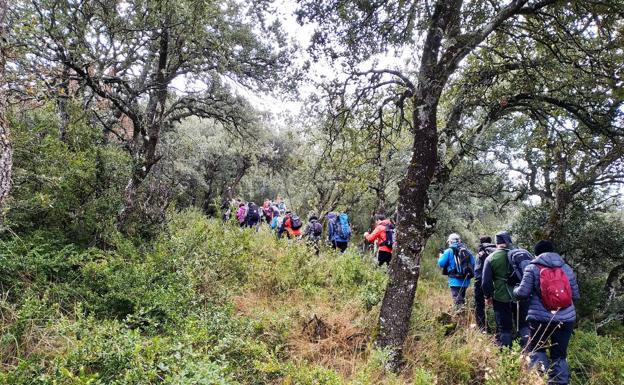 Los senderistas se adentran en el bosque.
