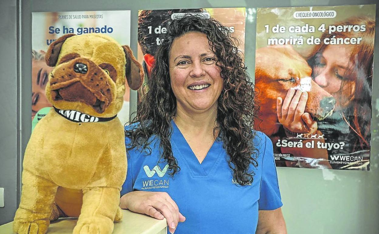 La veterinaria alerta sobre los accidentes que sufren las mascotas por escapar de los petardos