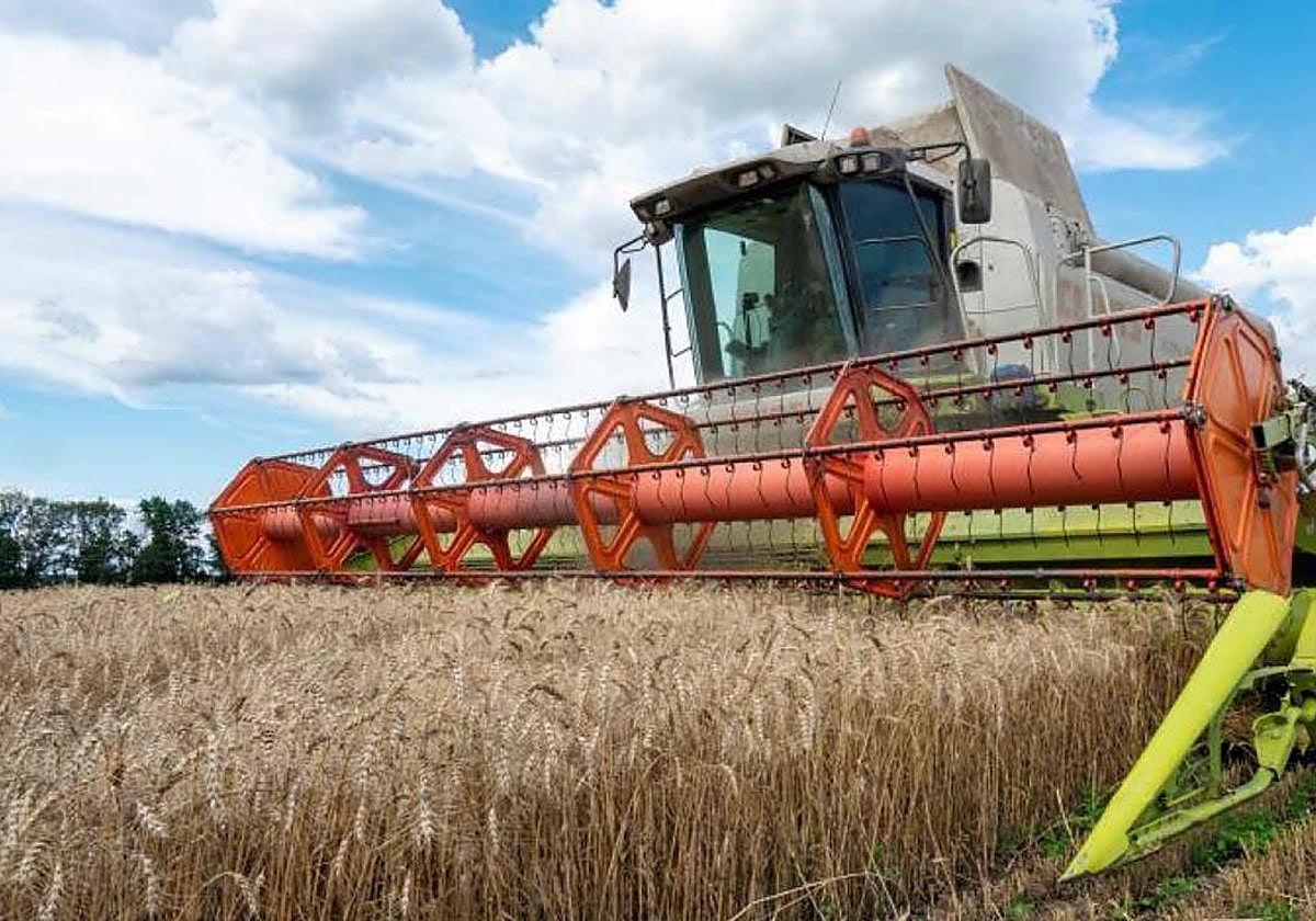 Cereal bajo secuestro