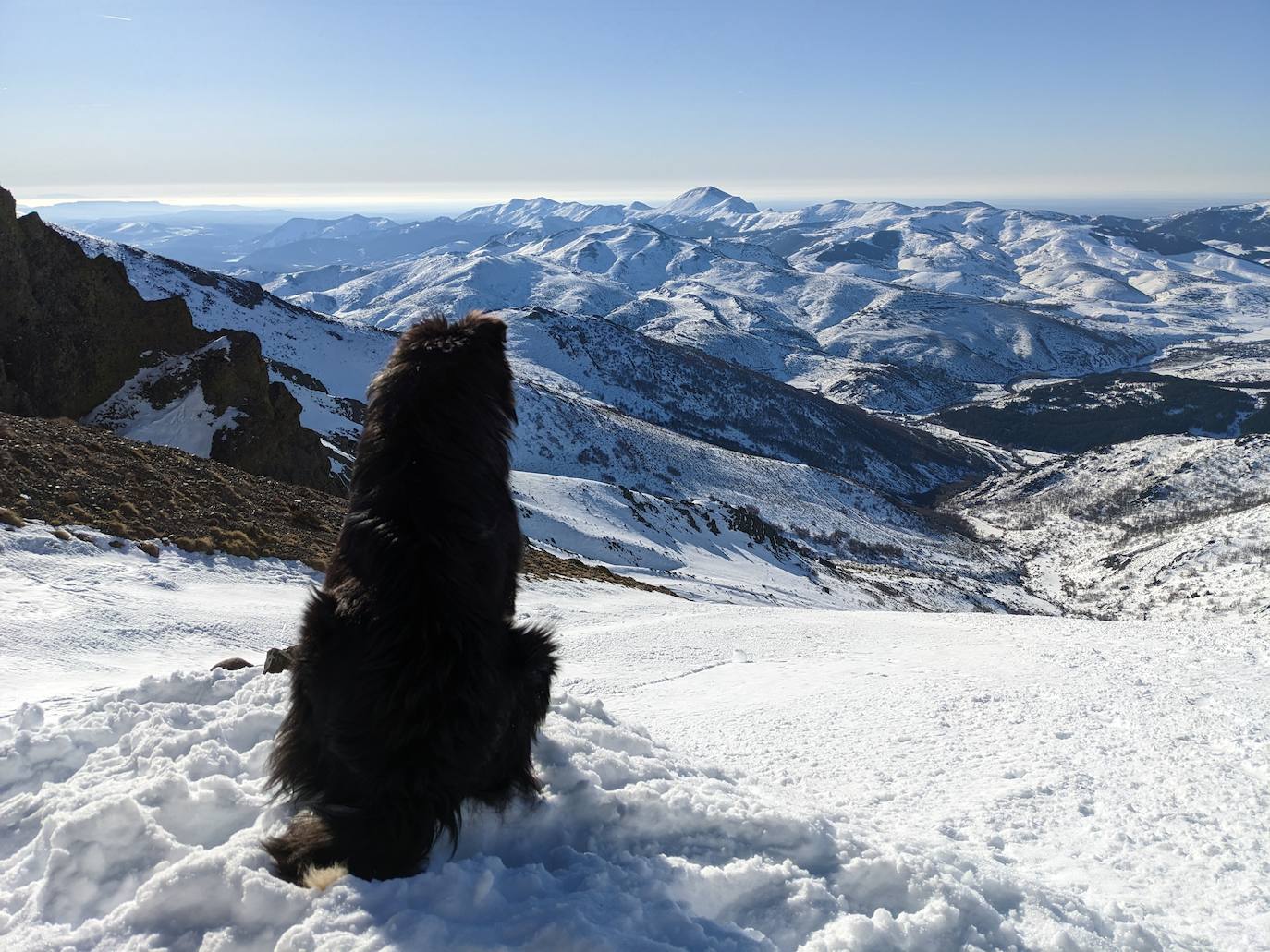 El bonito y juguetón border collie que nos acompañó durante la subida