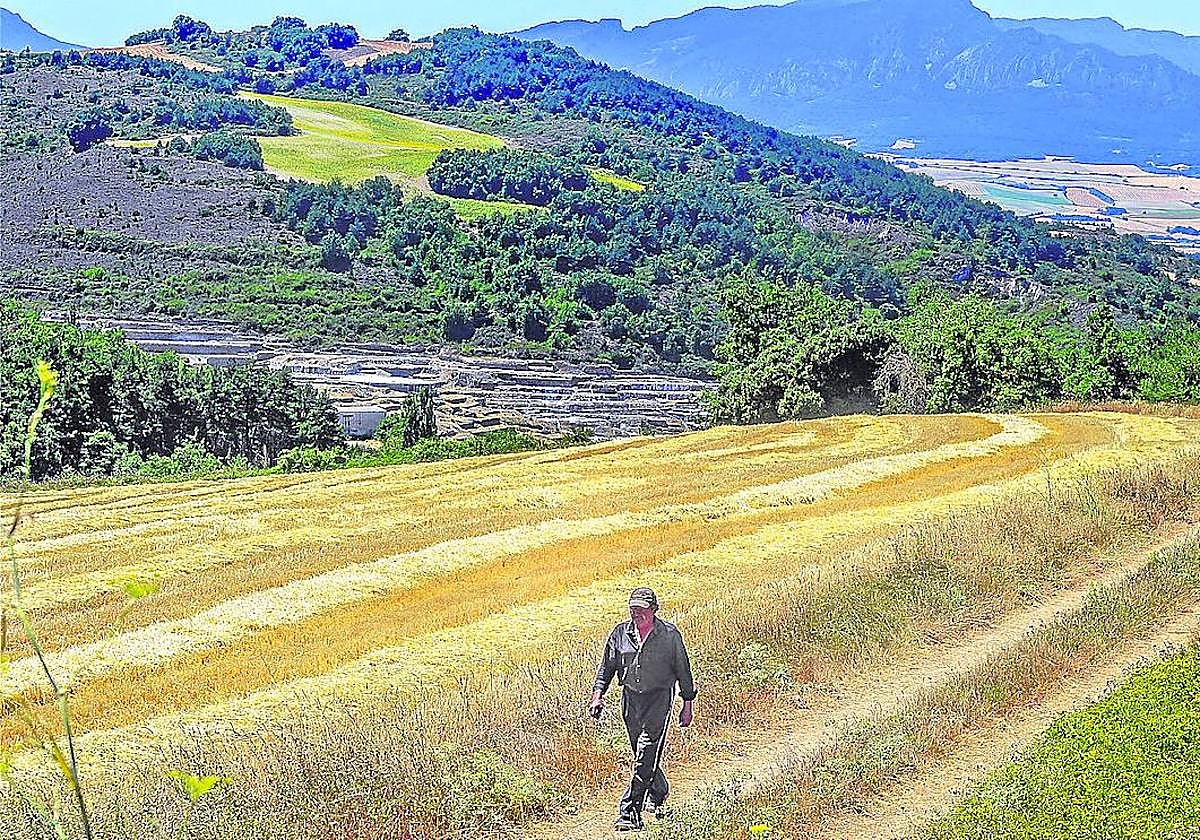 Zona por la que discurrirá la futura obra de la nueva variante de Salinas de Añana.