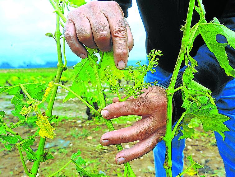 Las indemnizaciones suman 18,8 millones en cinco años