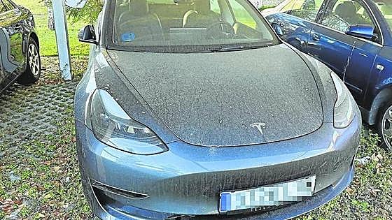 El PP pide explicaciones en el Parlamento vasco por el Tesla sin uso en el Tribunal de Cuentas